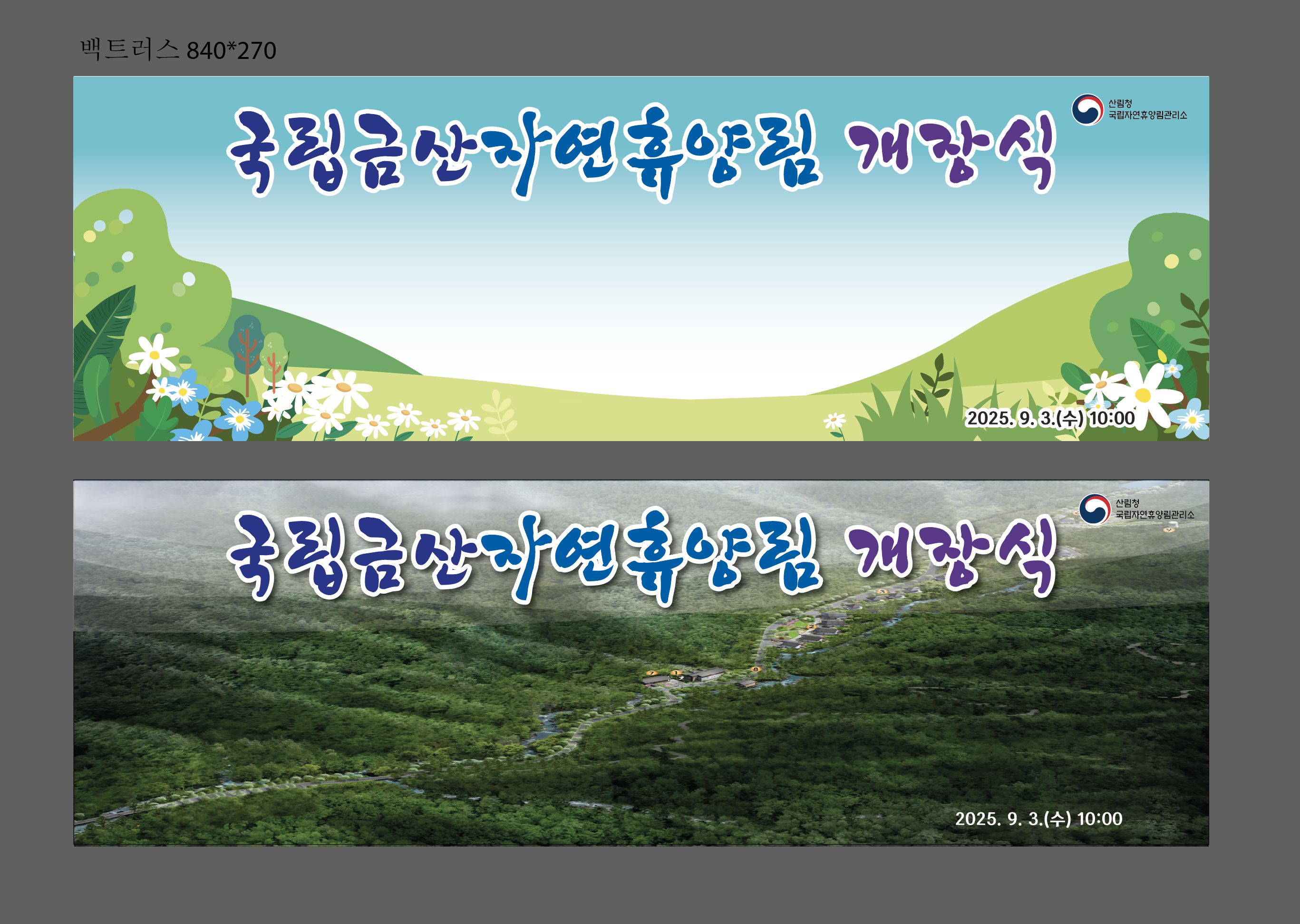 백트러스 배경막 (1)